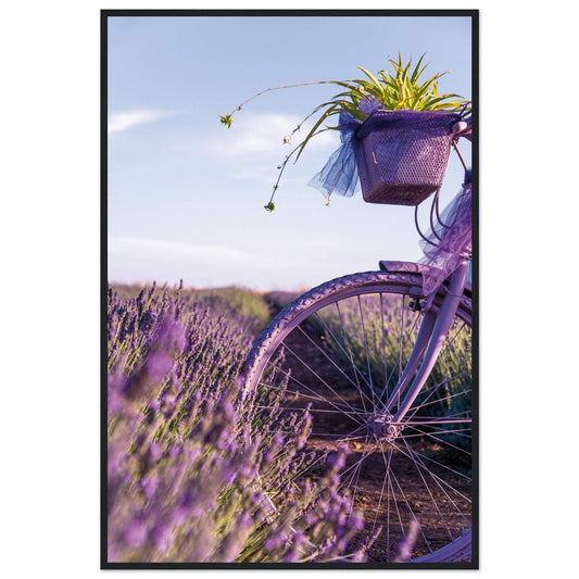 78c1bbd2-fd8c-4c3c-bcdd-950fe8015501