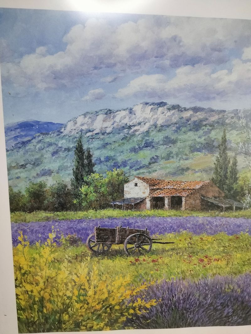 French Provence Lavender Farm Picture