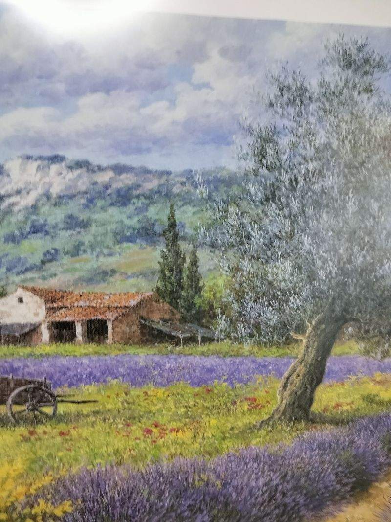 French Provence Lavender Farm Picture