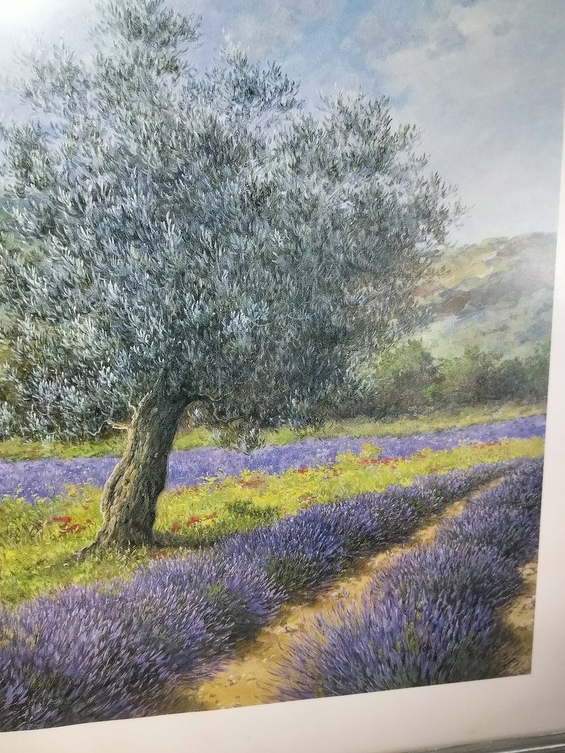 French Provence Lavender Farm Picture