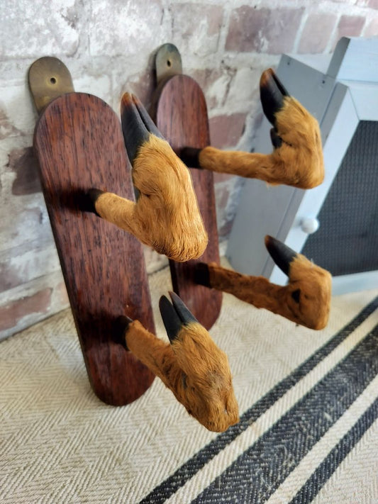 Vintage French Taxidermy Roe Deer Foot Gun Rack