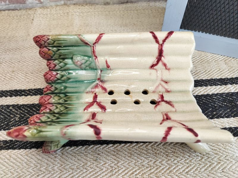 French Hand Painted Vintage Majolica Asparagus Plate