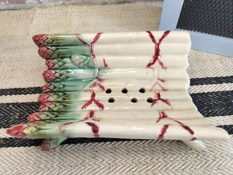 French Hand Painted Vintage Majolica Asparagus Plate