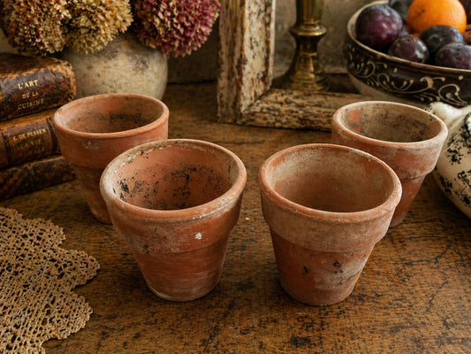 Set of Vintage Rustic Small Terracotta Plant Pots