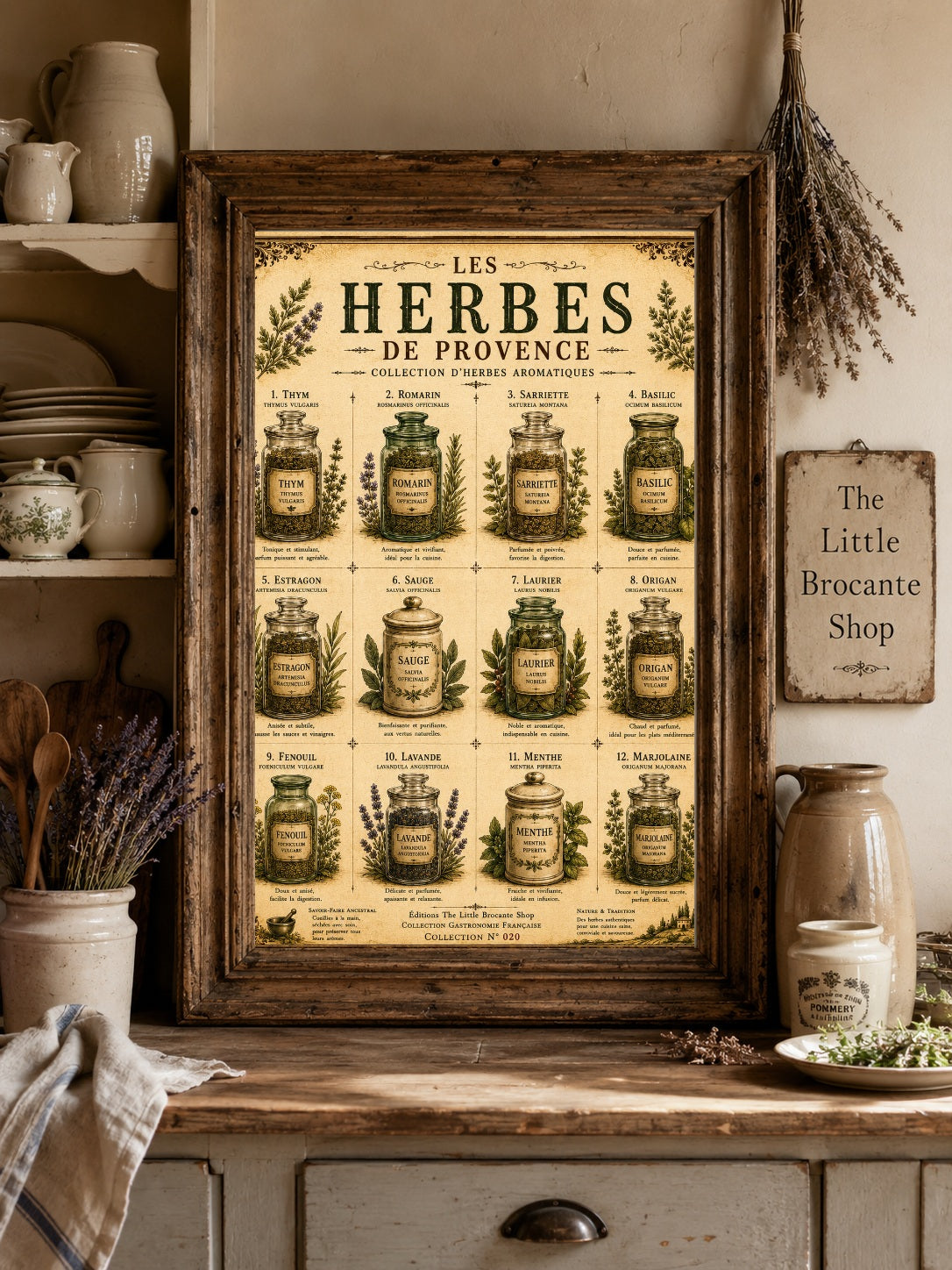 Les Herbes de Provence | Vintage French Herb Collection | Botanical Kitchen Wall Art, French country wall artwork. – image 8