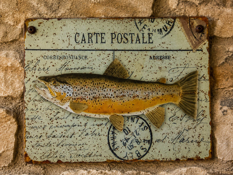 Rustic Wall Decor
