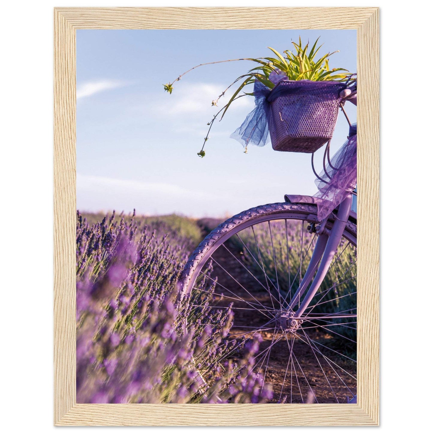 118b5521-7116-4d0c-ae0d-7980d8f0f106