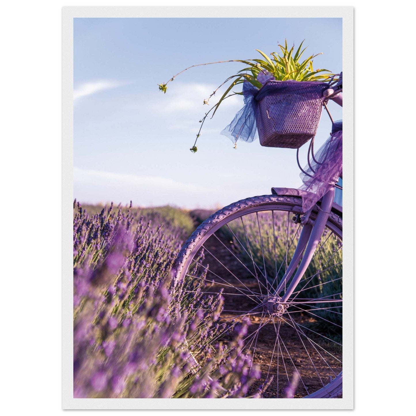 170f24c0-80de-480f-8b1b-211f2403b0de