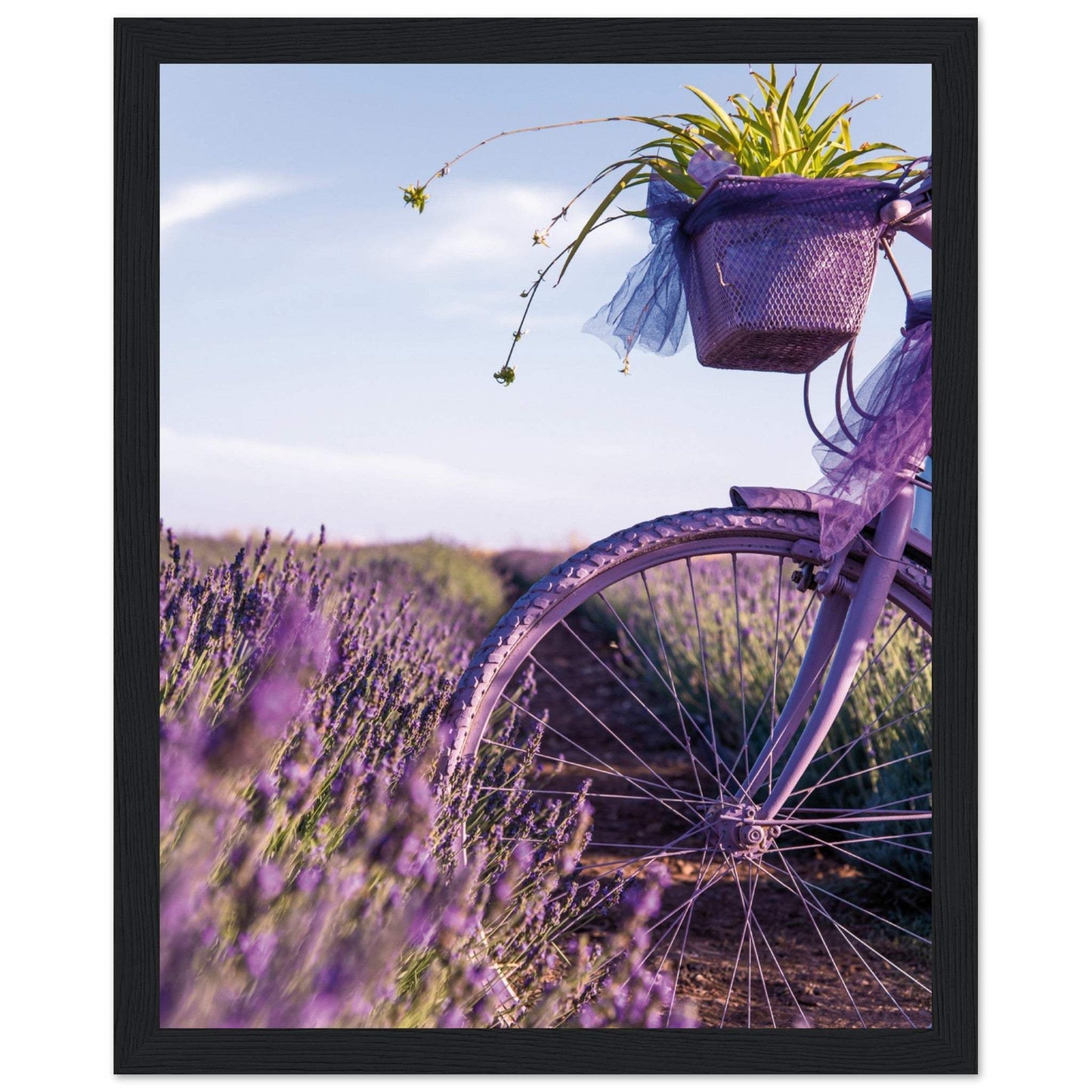 295e1e81-4408-4e8c-b924-fe31486bd8cd