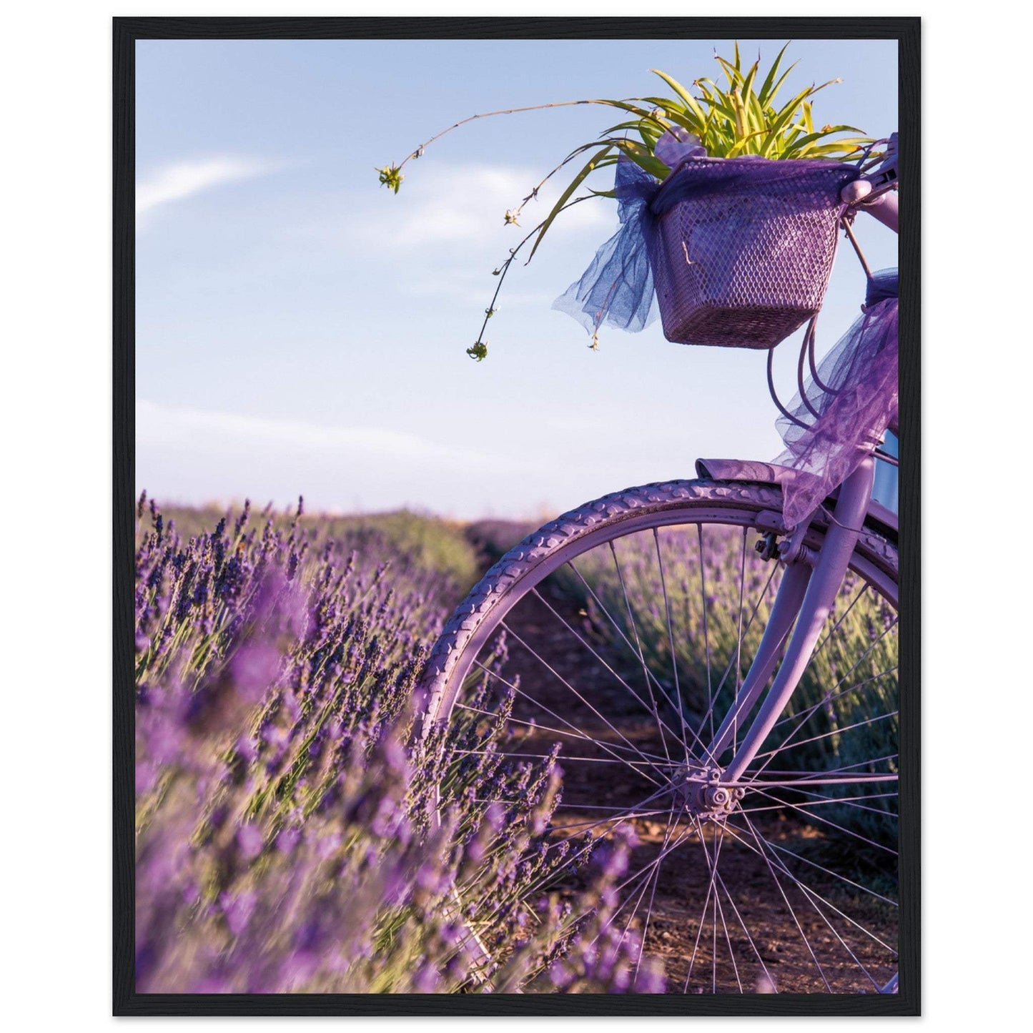 3e7611e1-9d1b-4718-a408-ccda7de4397b