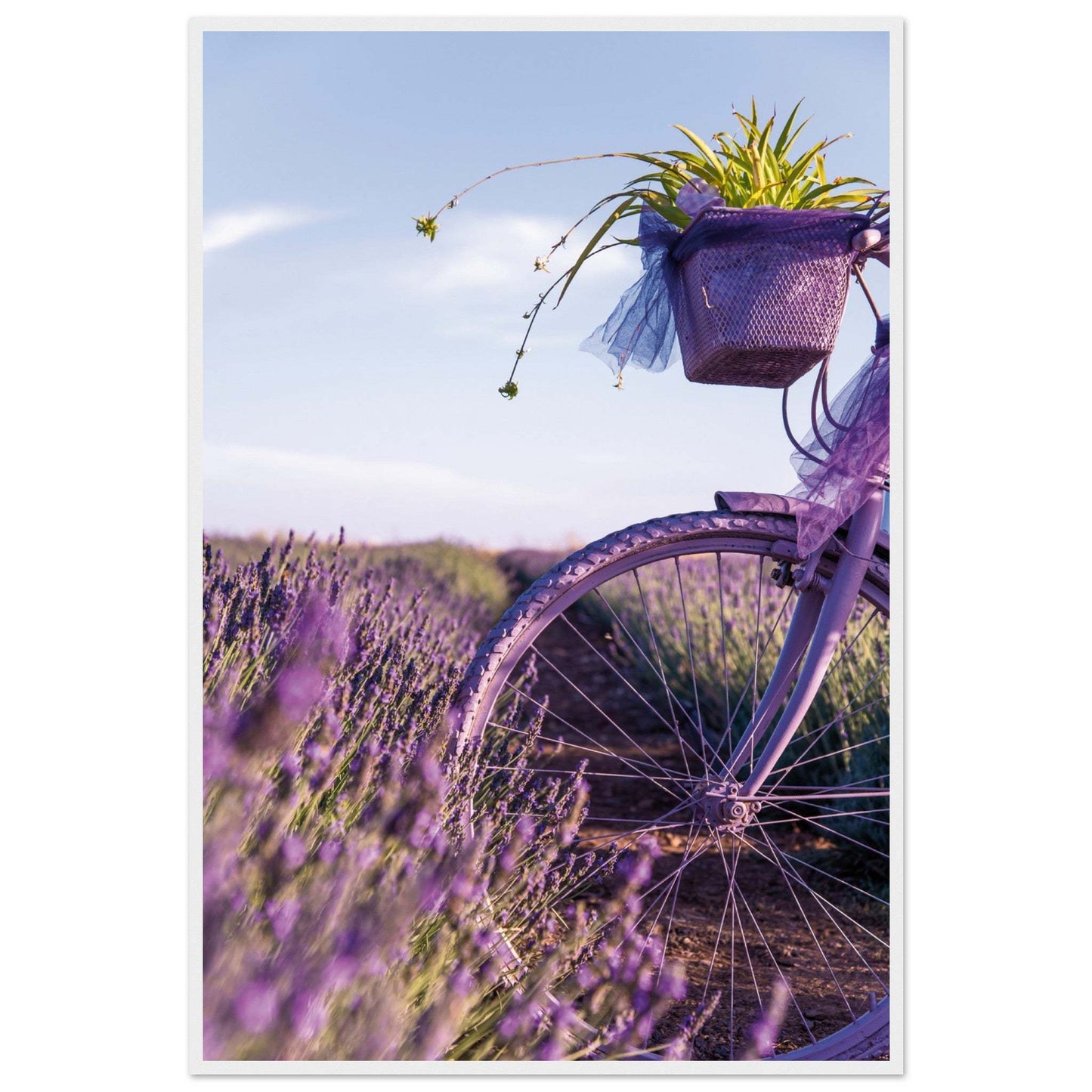 3e8f74c0-99c9-4f83-be23-d9be0107aec8