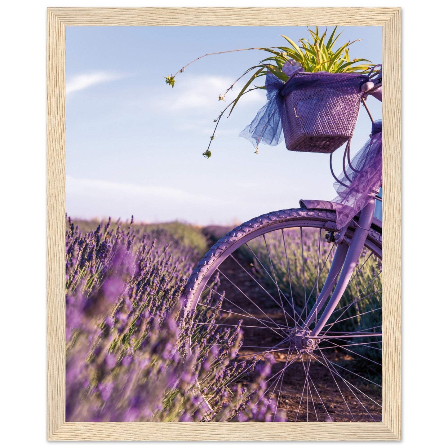 42ebaed3-5945-4f7e-8b0e-747c33292d37