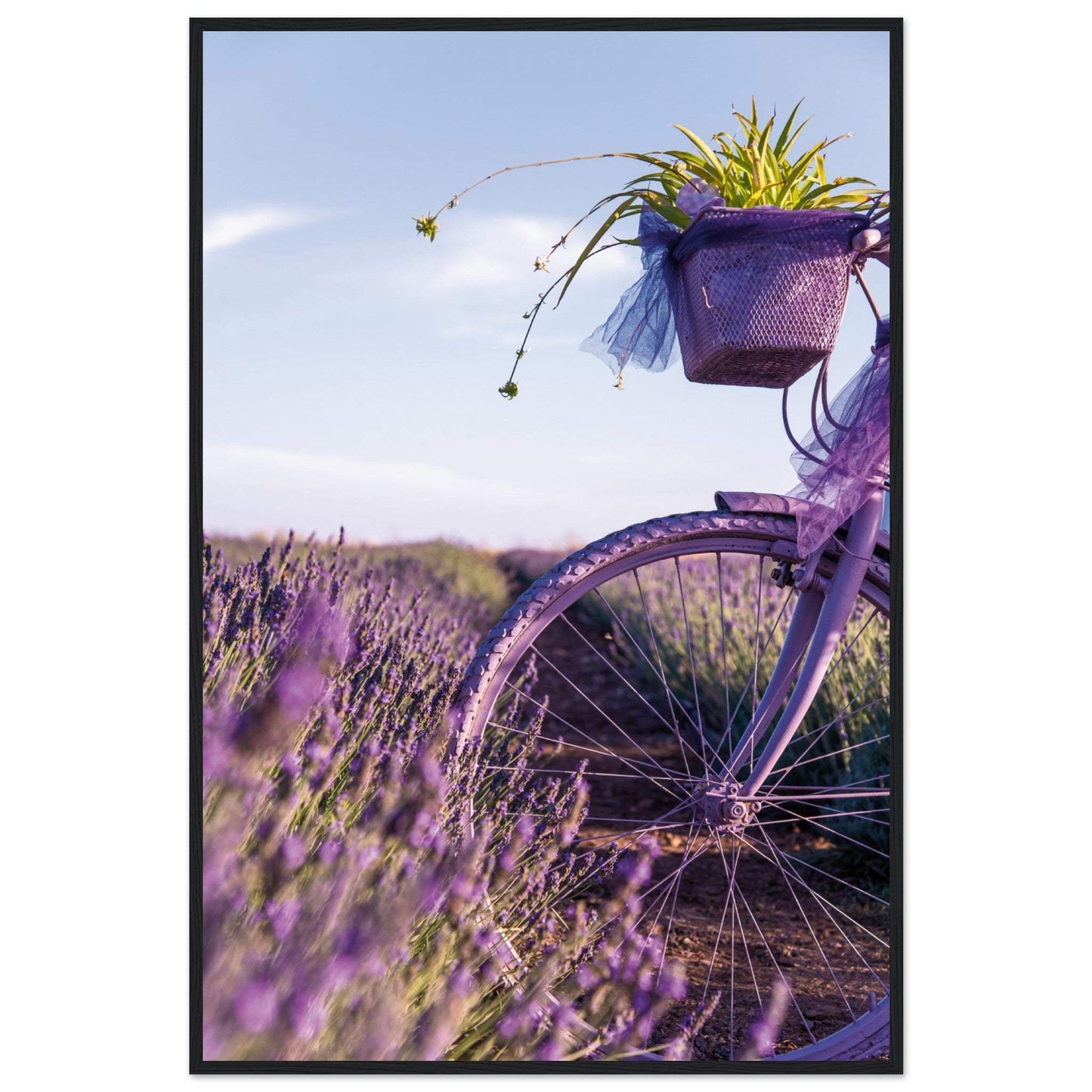 78c1bbd2-fd8c-4c3c-bcdd-950fe8015501