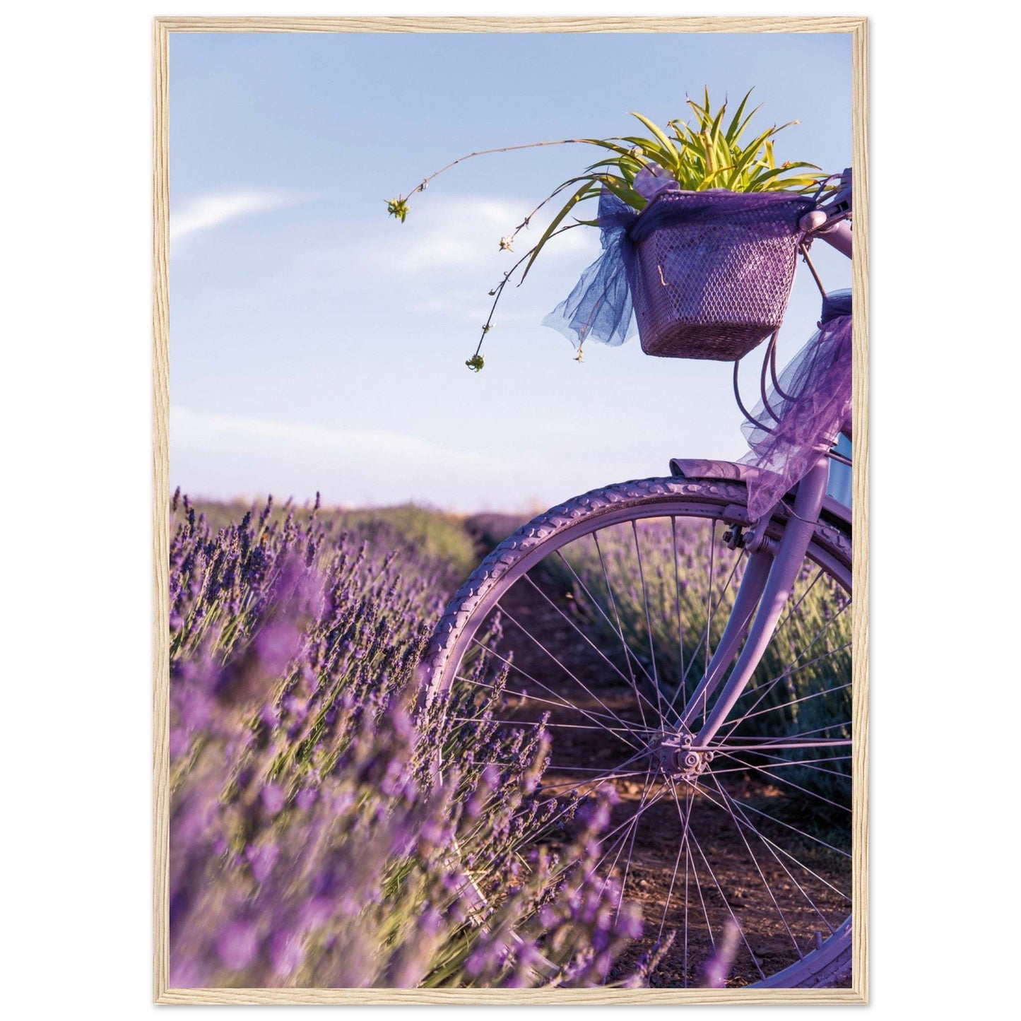 807c948a-f48d-4030-a475-65516402c71a