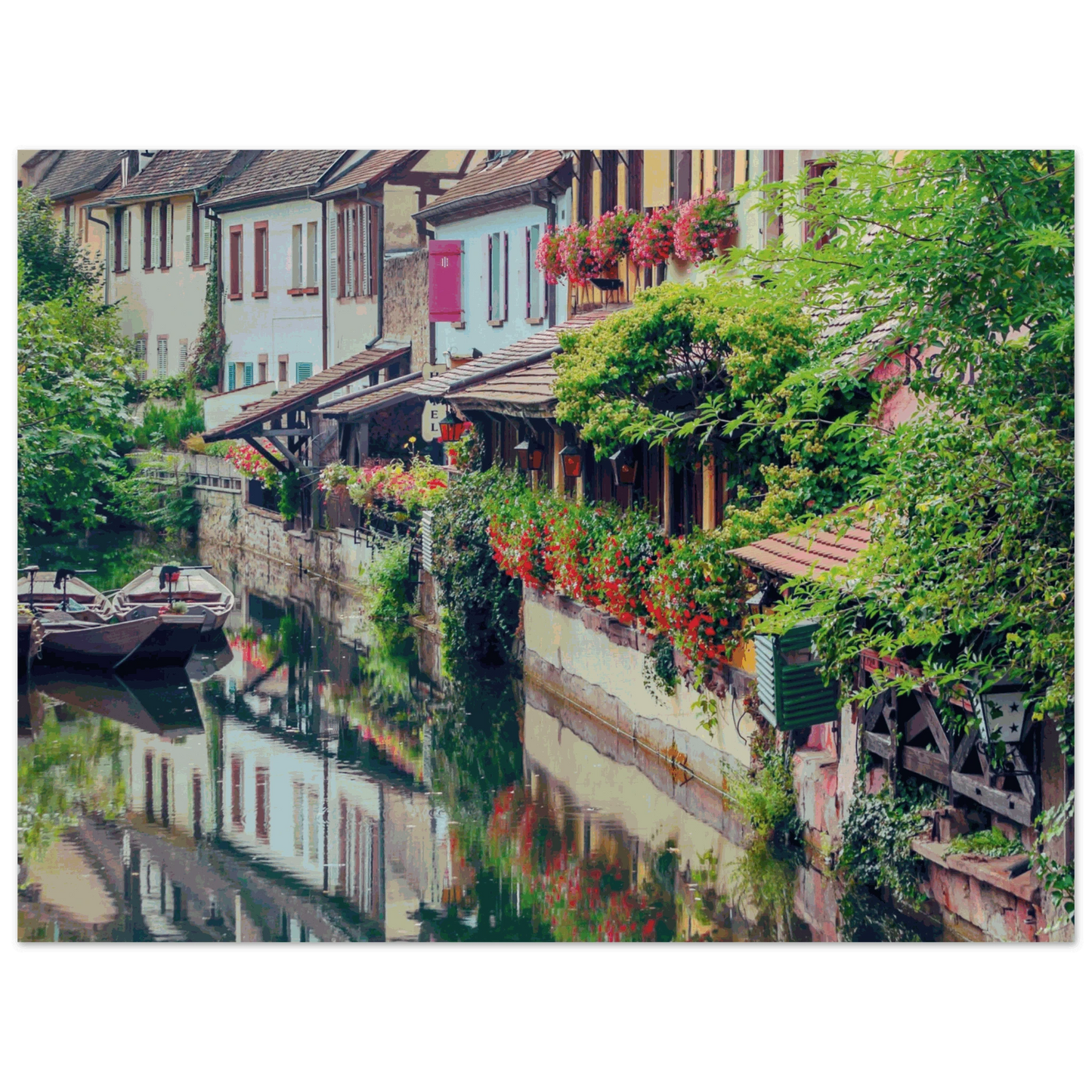 857144f4-0332-48ff-86e5-1f0f2e3a56bf