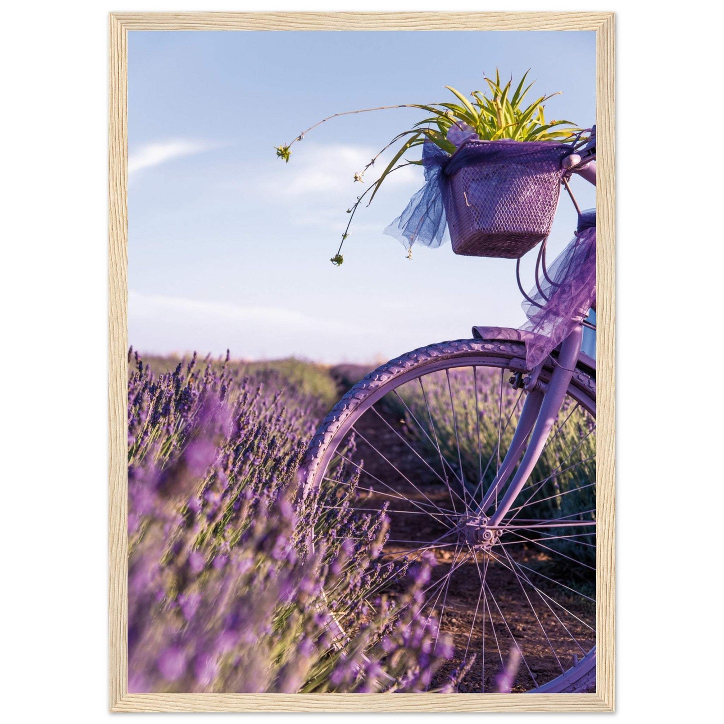 8d9ff36c-1cd7-40d0-b082-8050fcde620d