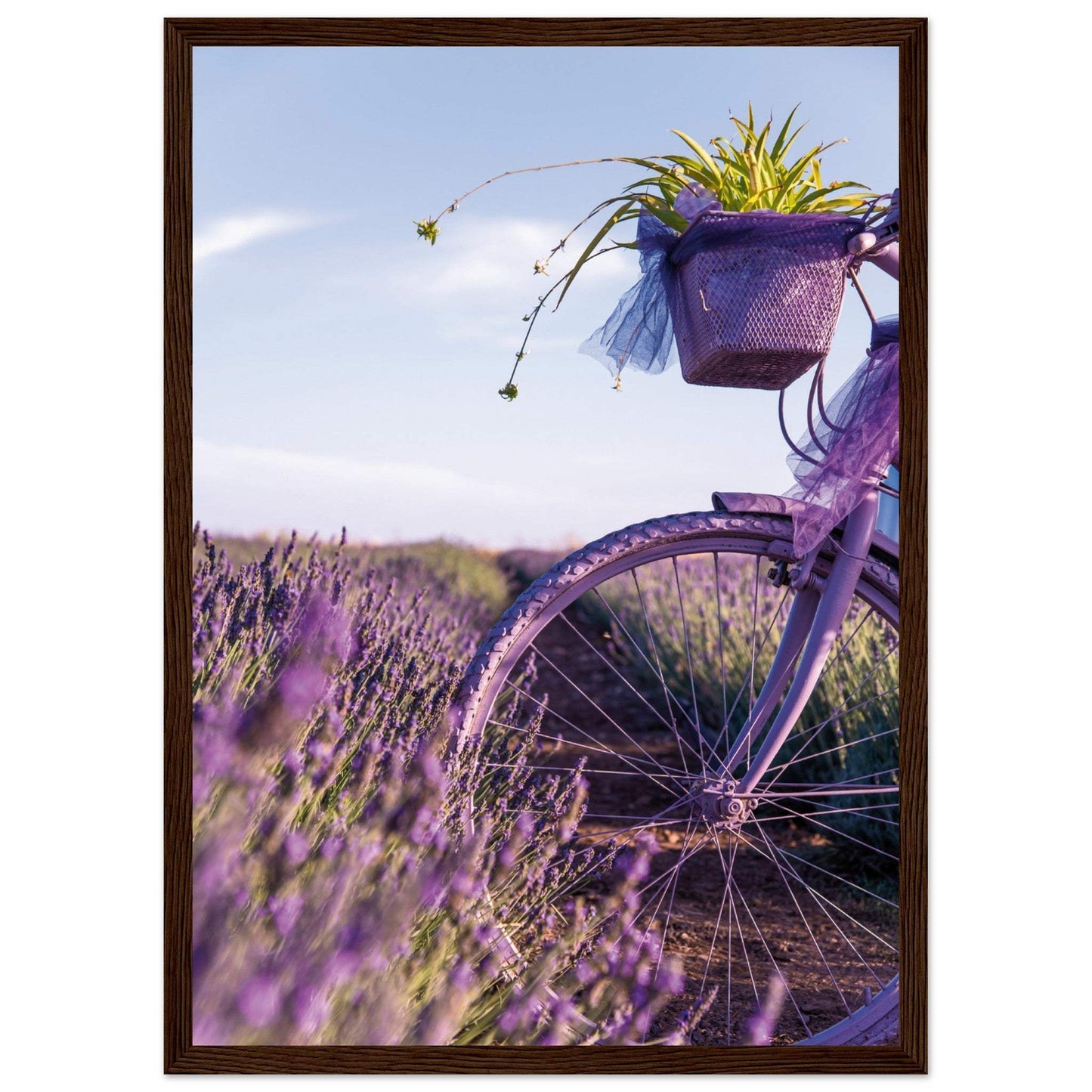 91228968-110c-43a4-bbe9-3c8a627df2d2