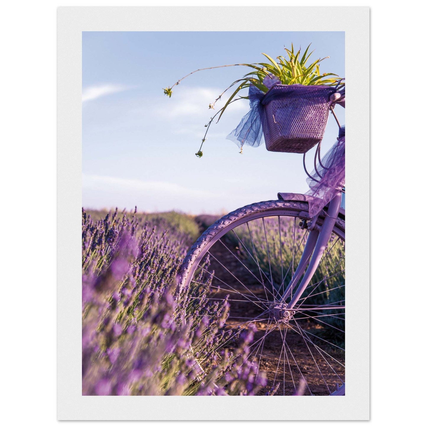 9280f534-5acf-472a-b95b-01c922c15b9a