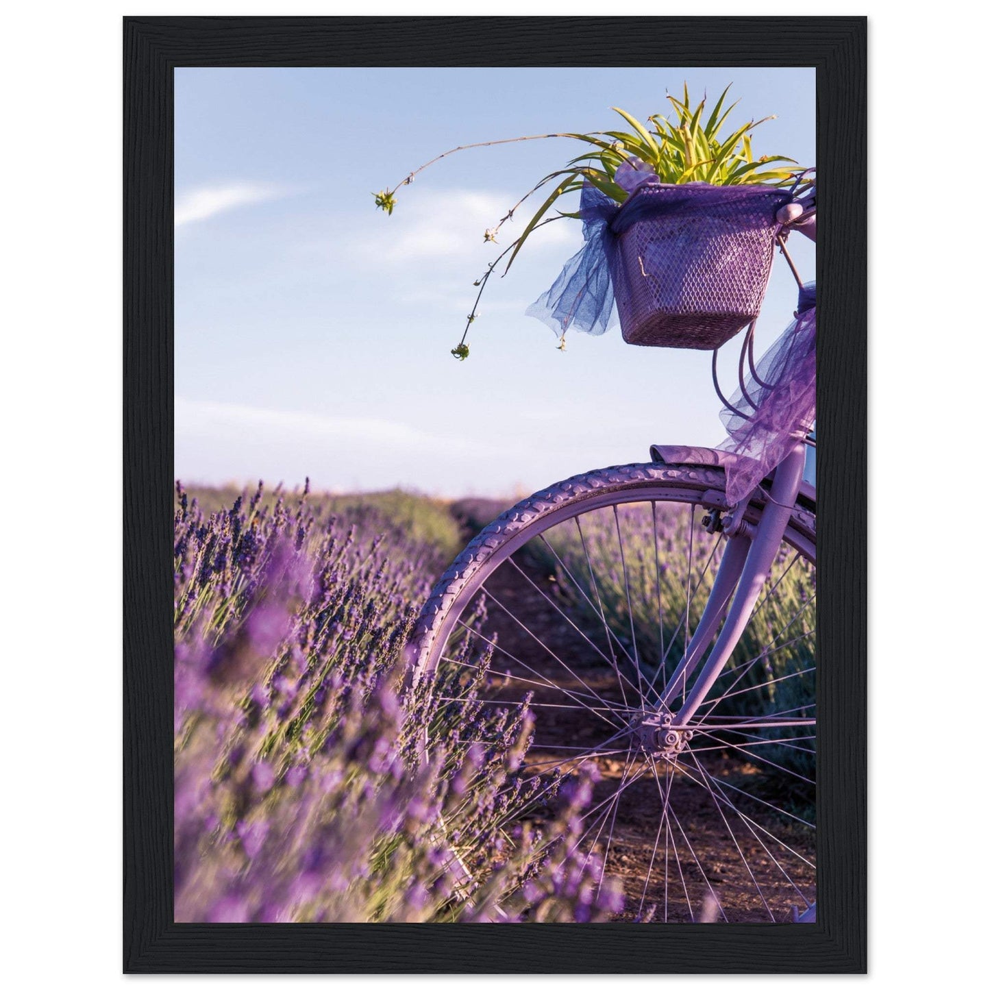 96dd472c-8b23-428f-8169-2d21d51cb10e