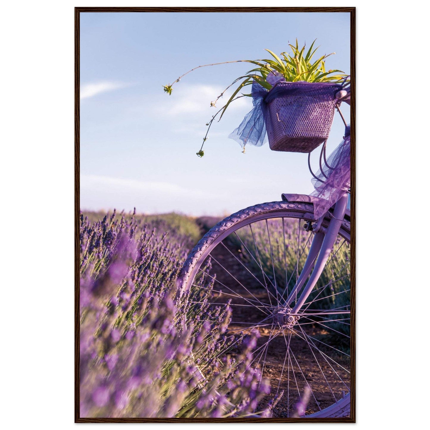 99bbb7e6-9b21-4035-8912-a2b14283eee2