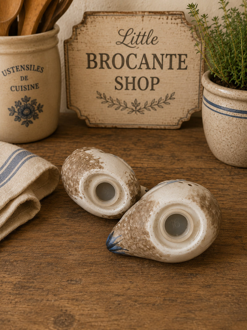 Vintage Ceramic Duck Salt & Pepper Shakers | Mallard Cruet Set | Country Cottage Kitchen Décor