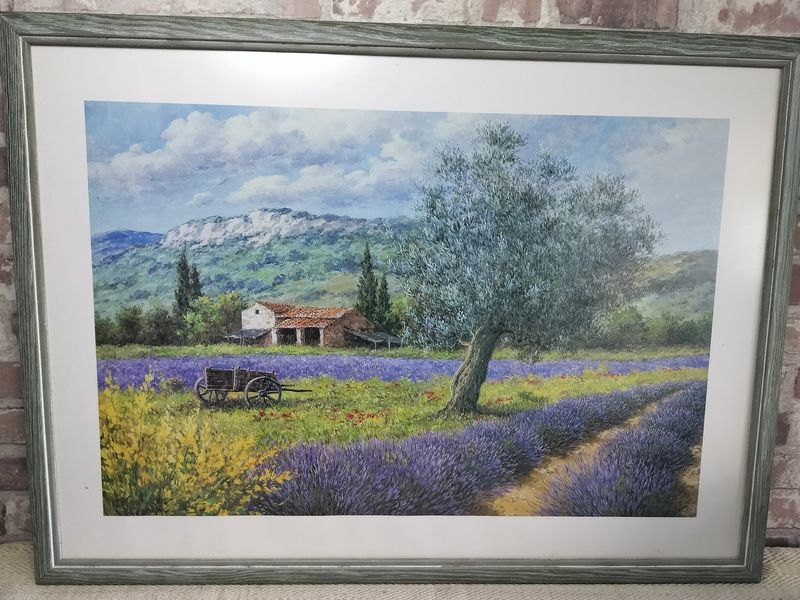 French Provence Lavender Farm Picture