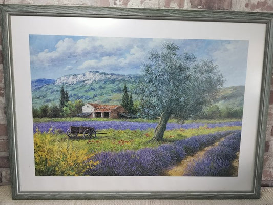 French Provence Lavender Farm Picture