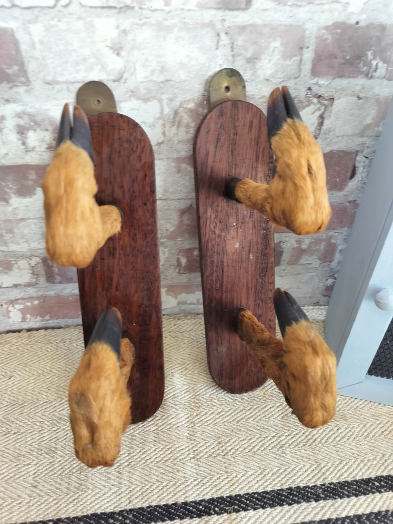 Vintage French Taxidermy Roe Deer Foot Gun Rack