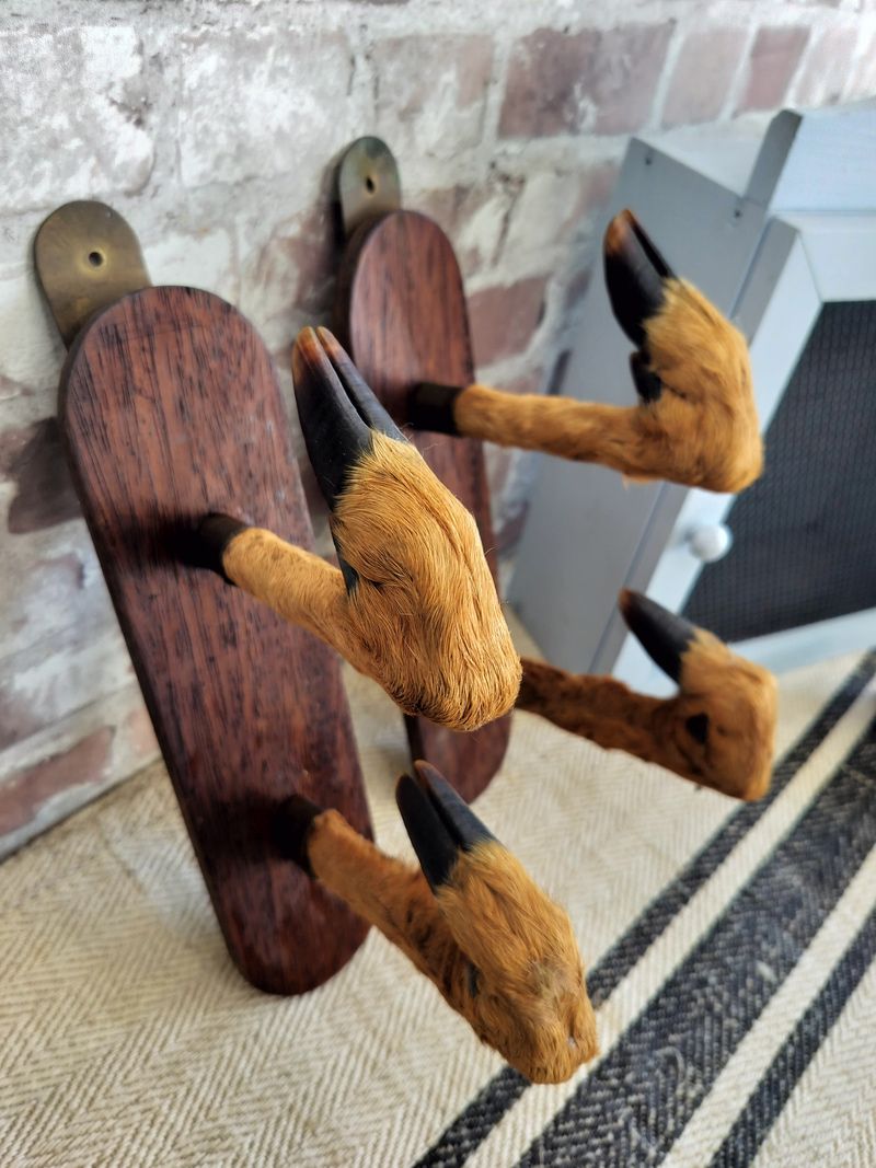 Vintage French Taxidermy Roe Deer Foot Gun Rack