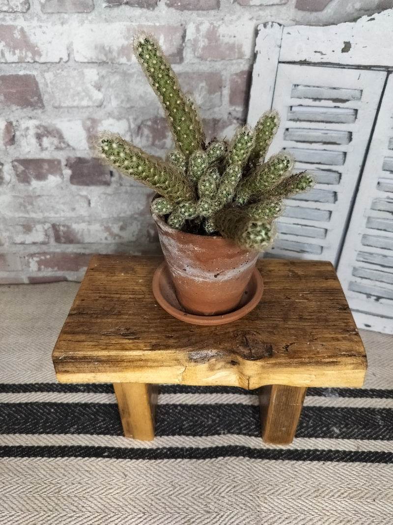 Rustic Reclaimed Wooden Stool Plant Stand