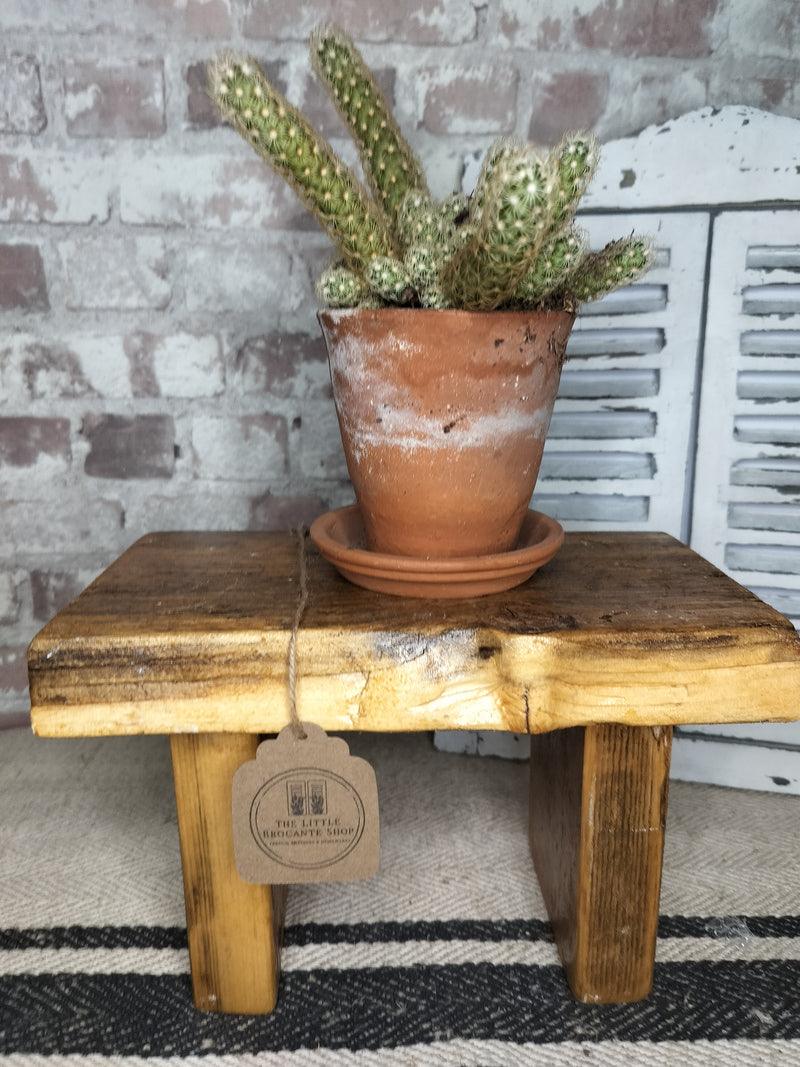 Rustic reclaimed wooden stool plant stand with terracotta pot and cactus on brick wall background