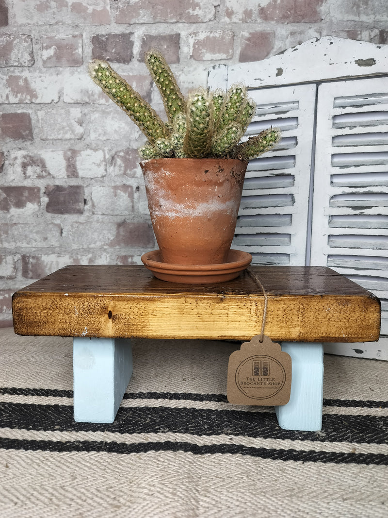 Reclaimed rustic wooden stool with blue painted legs holding a terracotta pot with cactus against a brick wall background
