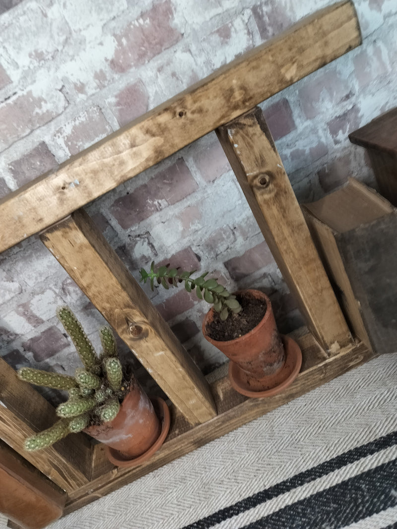 Rustic Wooden Decorative Ladder Shelf