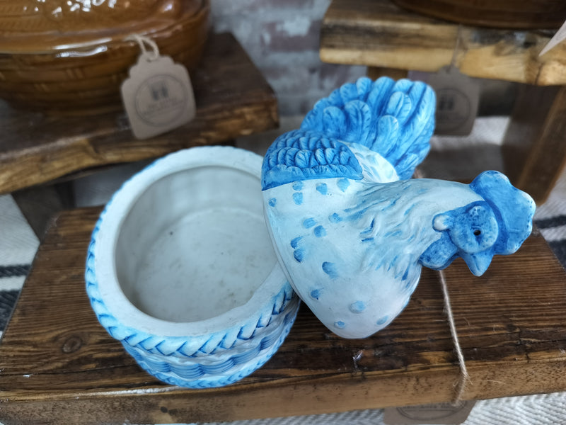 Small Blue & White Hen on Nest