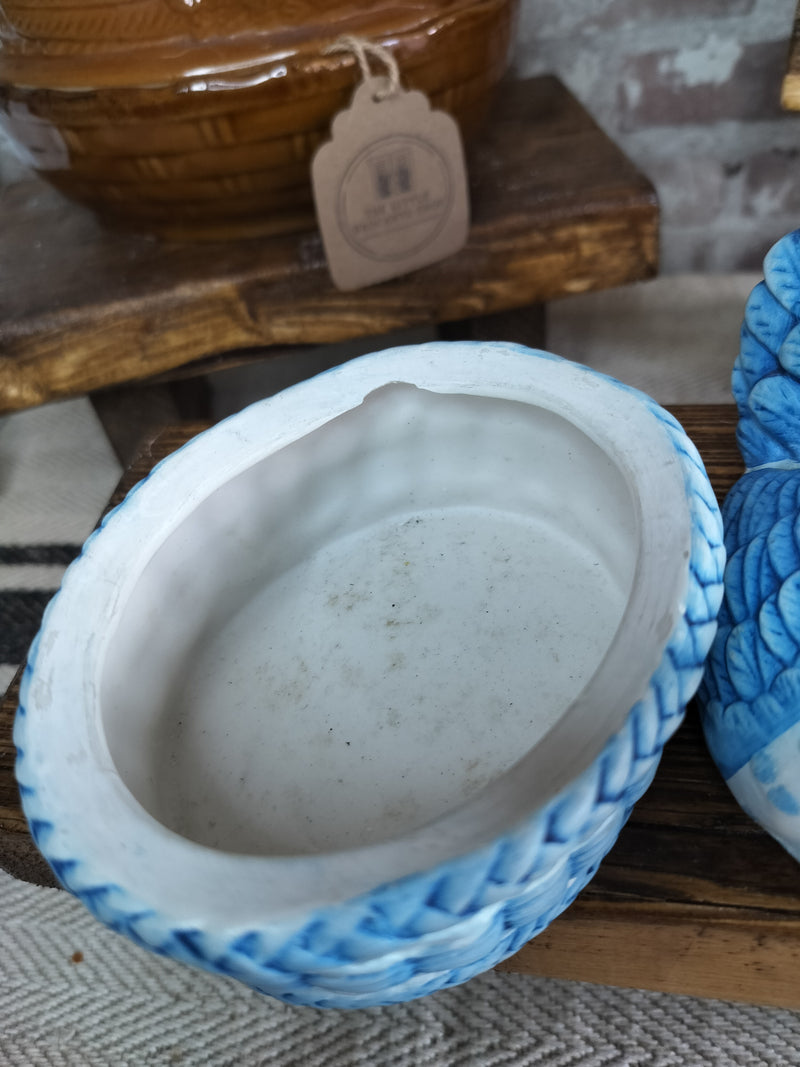 Small Blue & White Hen on Nest