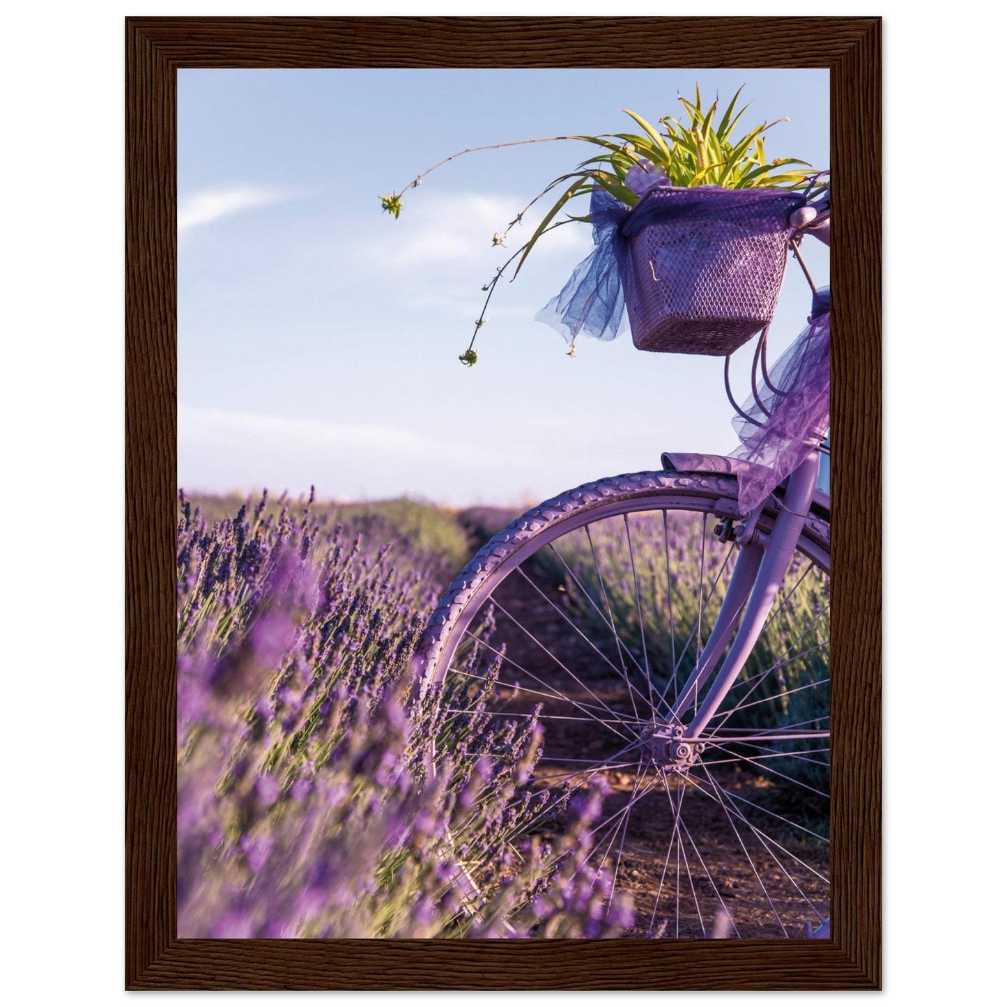 a60dd894-6439-40c2-b2ec-e11076c03242