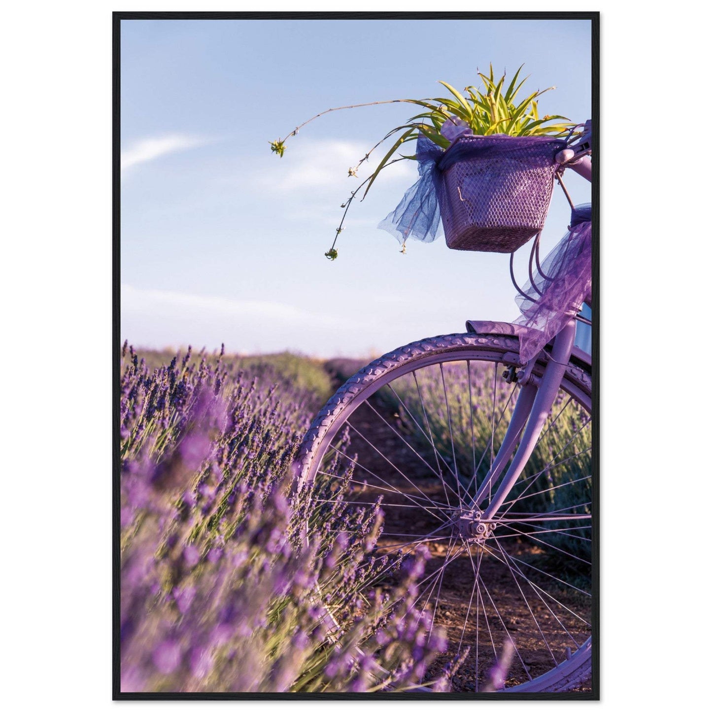 b6038731-24c9-4a2f-8465-3d3d42ceccb1