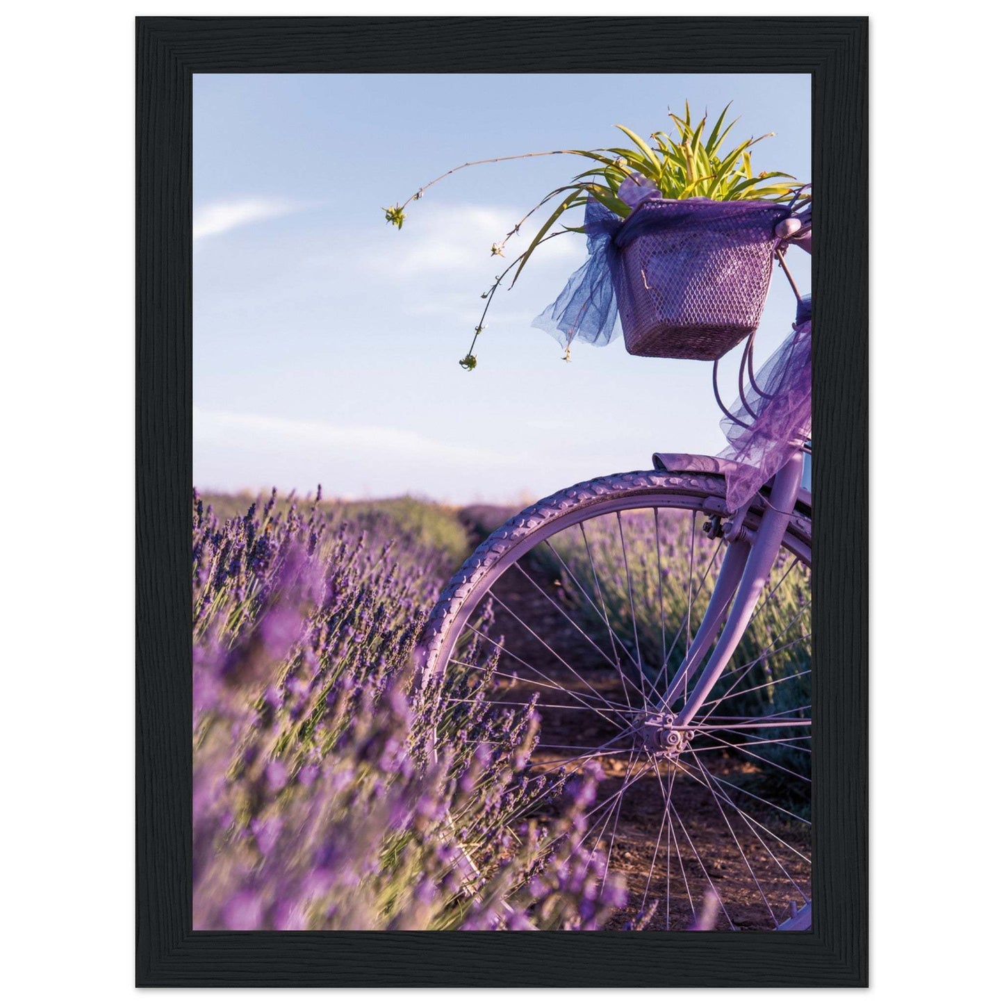 bf709e78-6599-4e3a-aafb-faf85b95c87a