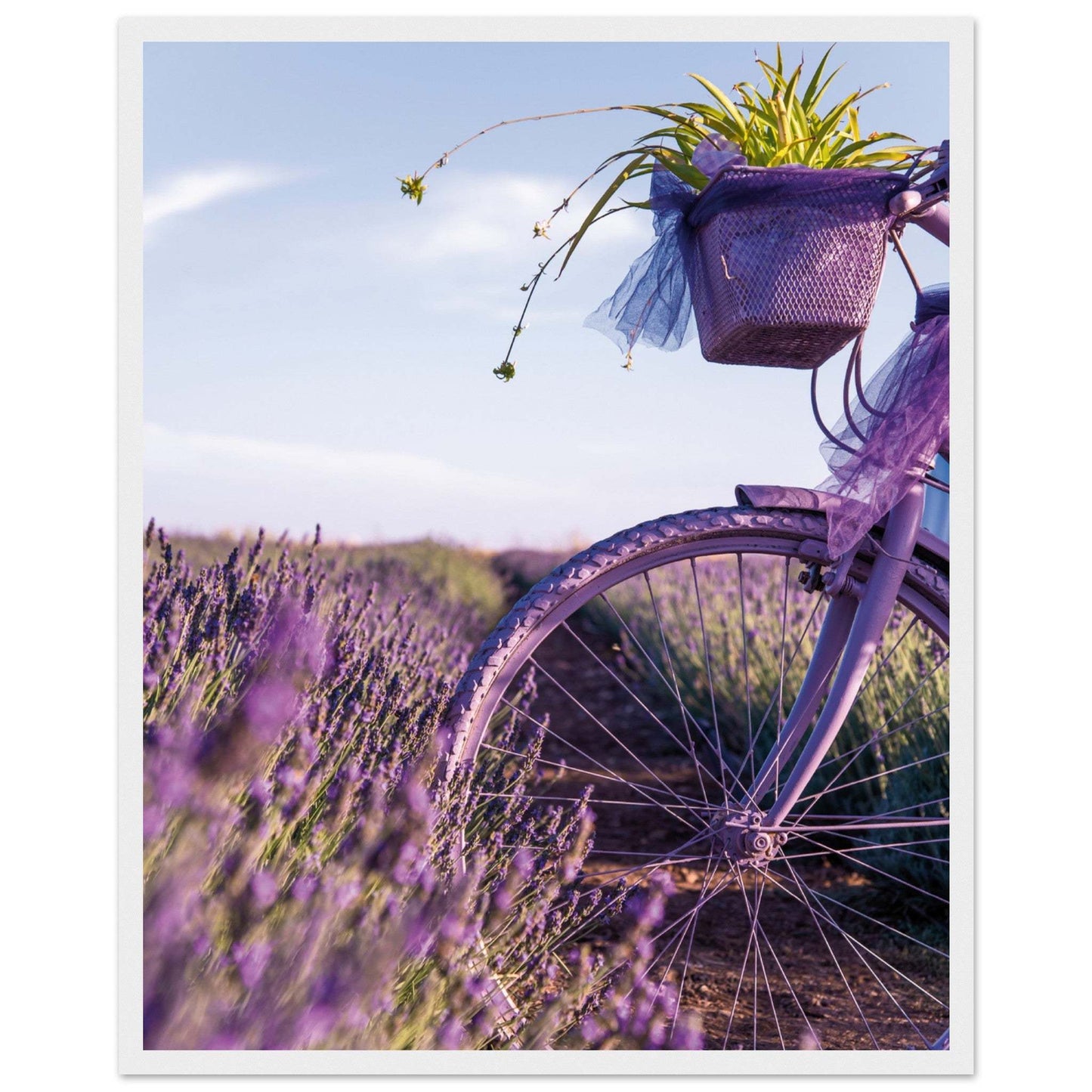 ca1ec323-1ad9-4fc4-8481-bc059a7106c8