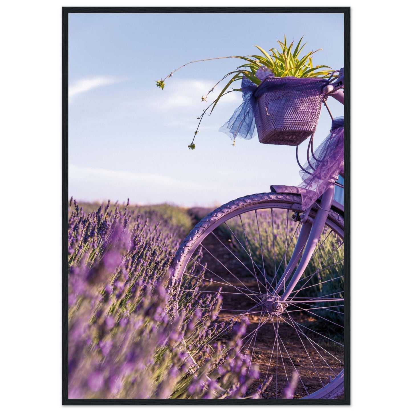 caf2fdda-980a-4e5b-9940-c0fc4e52c84a