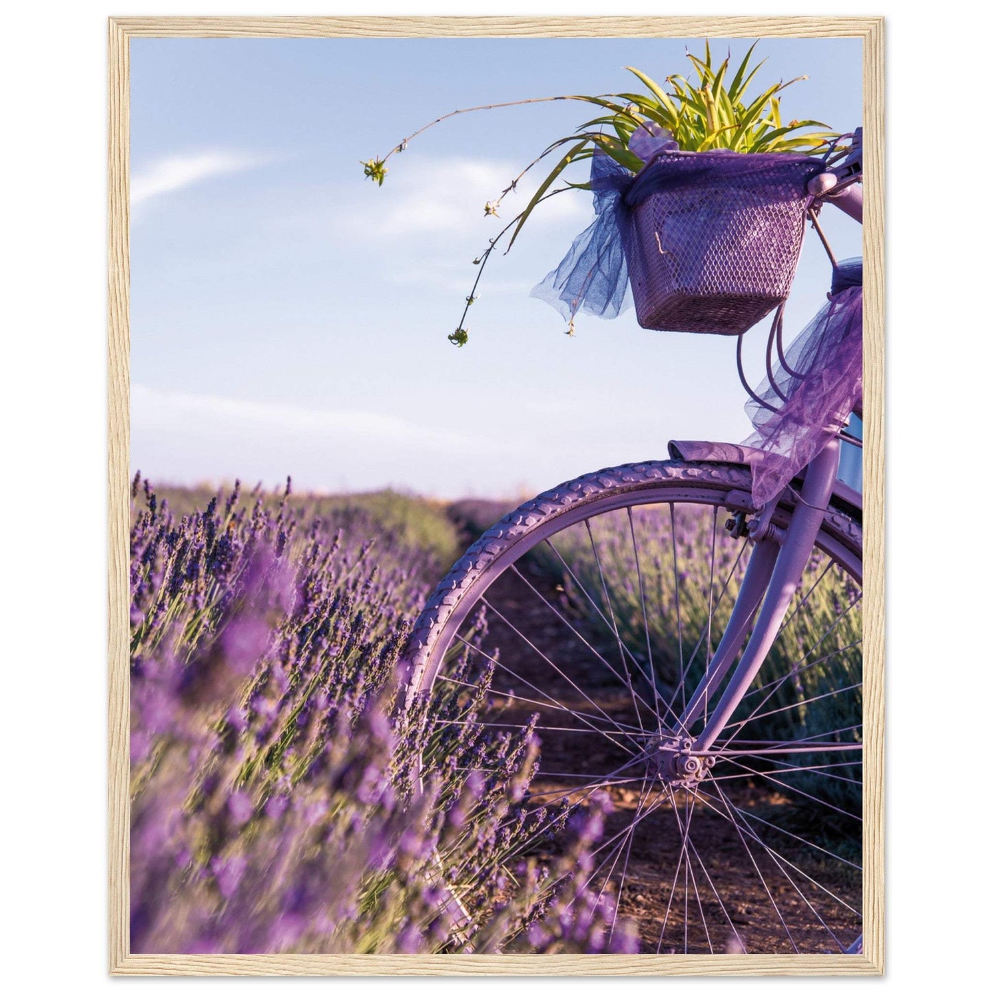 cbb23768-0a20-4267-9e10-aee238ebe3fb