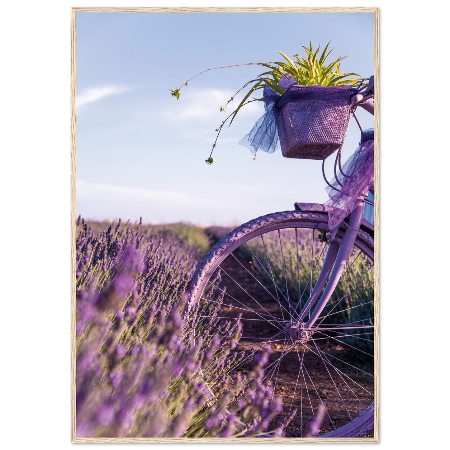 cd7885bd-c6e2-4654-872a-f09086dd1578