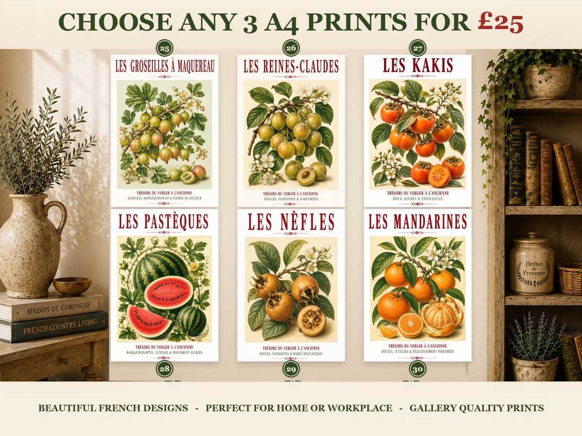French Fruit Prints – Choose Any 3 A4 for £25