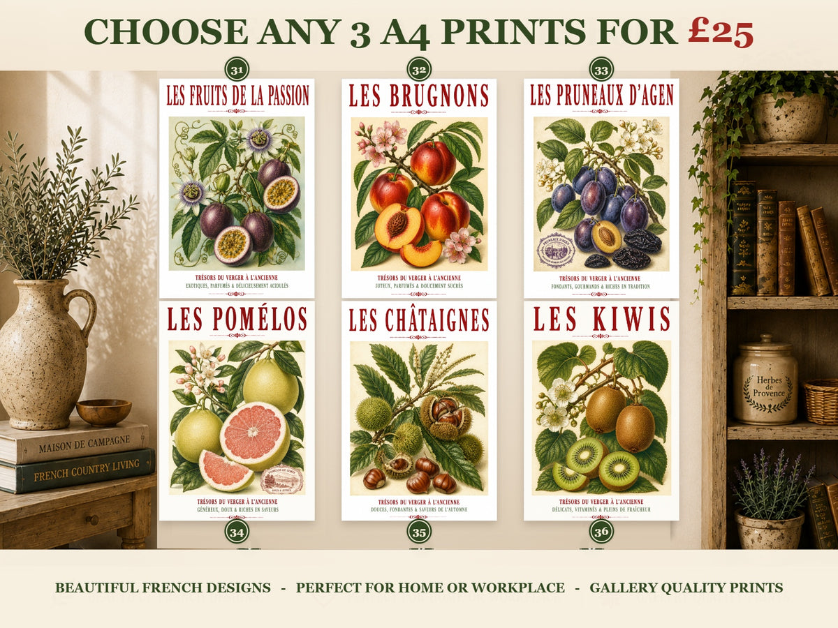 French Fruit Prints – Choose Any 3 A4 for £25