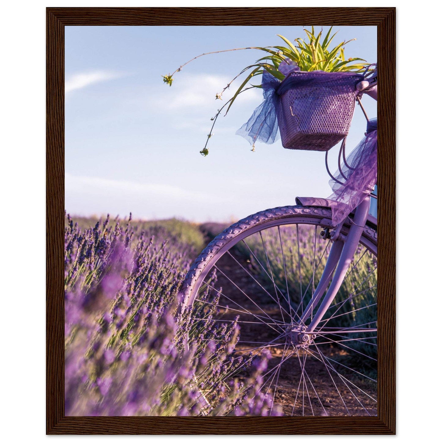 df6aa952-d17f-4d15-bfa2-11a723f22cde