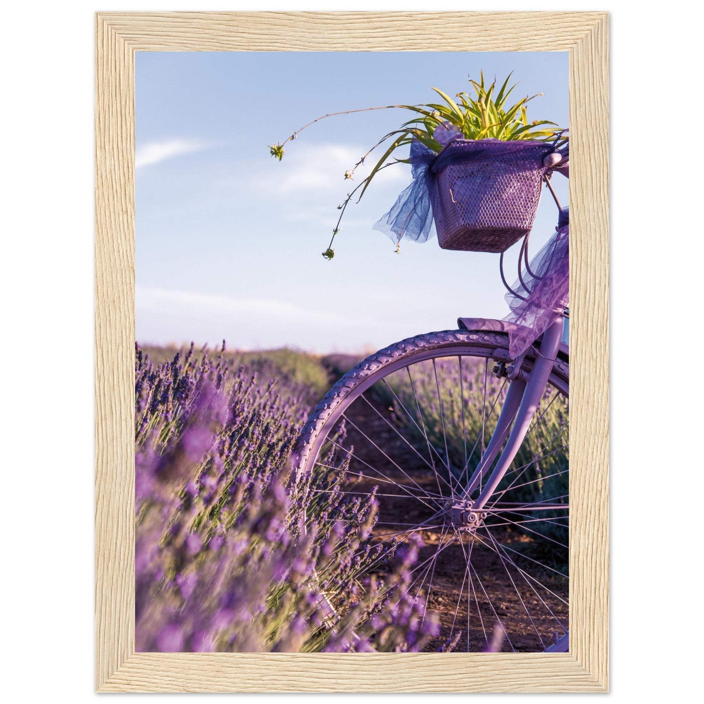 e87650c1-2b70-4e31-9f41-16e5f0c8806f