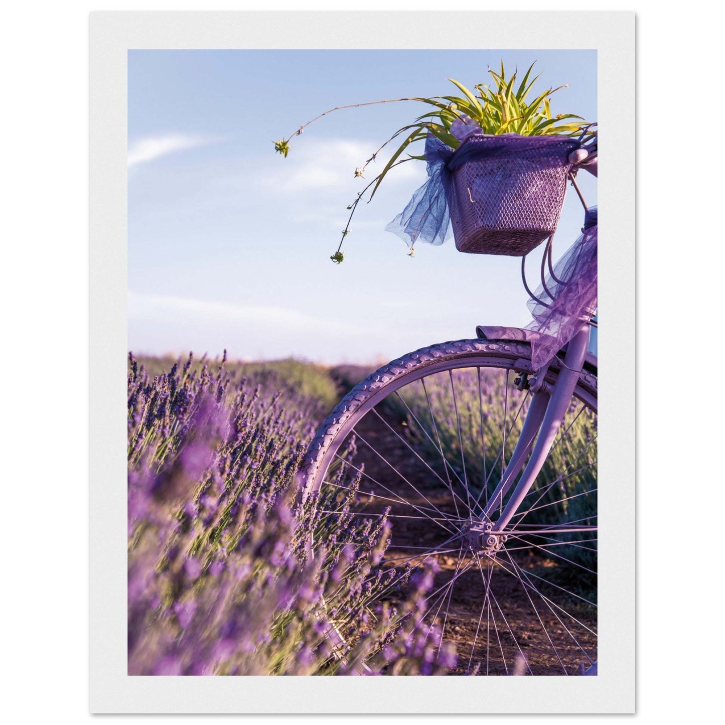 ed155095-baea-4507-9a65-d448f3ff9473