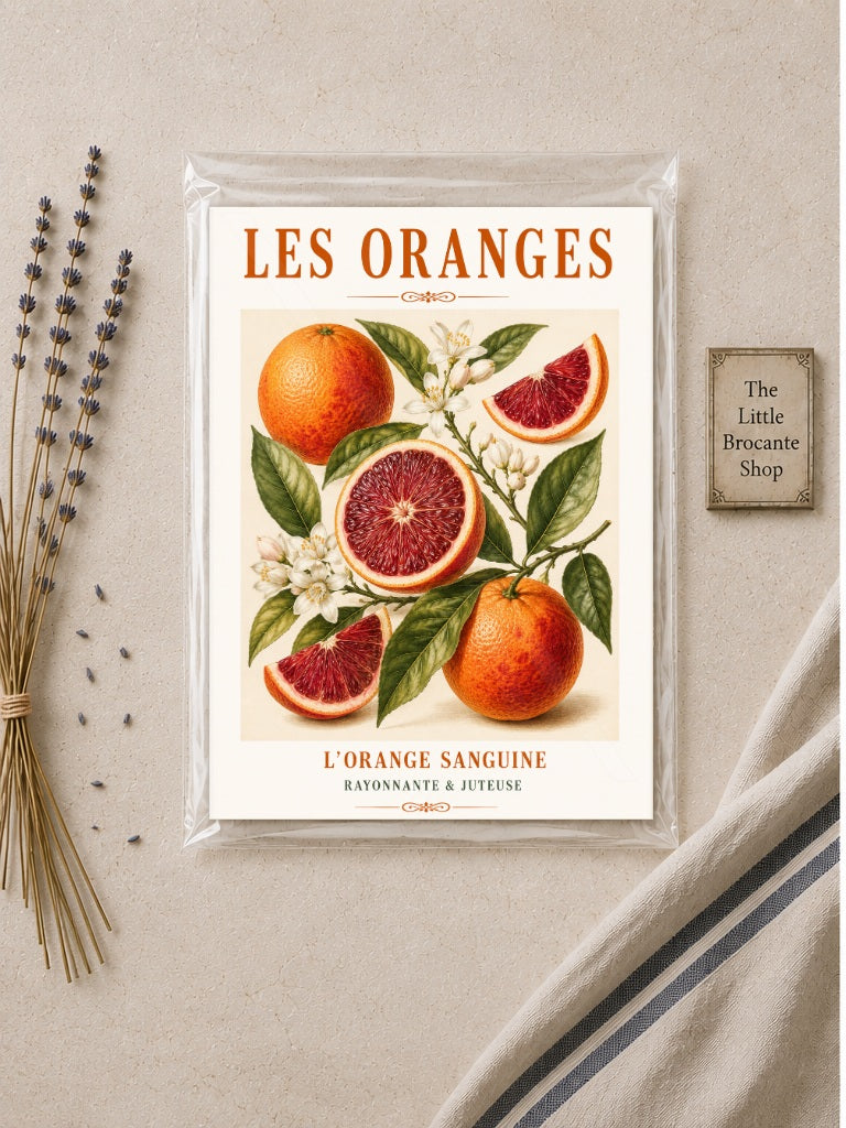 L’Orange Sanguine – Illustrated French Blood Orange Print | French Kitchen Wall Art, Illustrated French, Botanical, French Country, Mediterranean, Country Kitchen, Fruit Illustration, European Kitchen wall artwork.