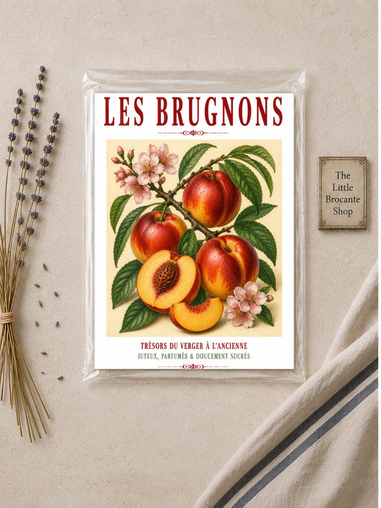 Illustrated French Nectarine Print | French Kitchen Wall Art, Illustrated French, Botanical, French Country, Orchard Style, Traditional Botanical Illustration, French Kitchen, Country Kitchen, Cottage Style, Pomological Art wall artwork.
