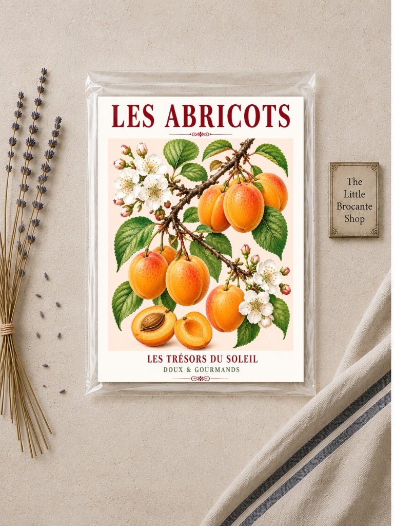 Les Abricots – Illustrated French Apricot Print | French Kitchen Wall Art, Illustrated French, Botanical, French Country, Fruit Illustration, Orchard Inspired, Country Kitchen, Cottage Style, Provence Inspired, Mediterranean Inspired wall artwork.